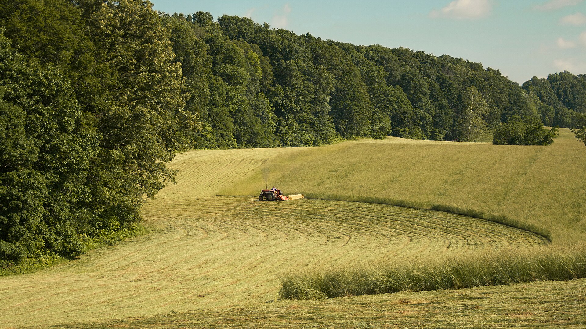 A tractor mowing grass for haylage on our Sidlesham land