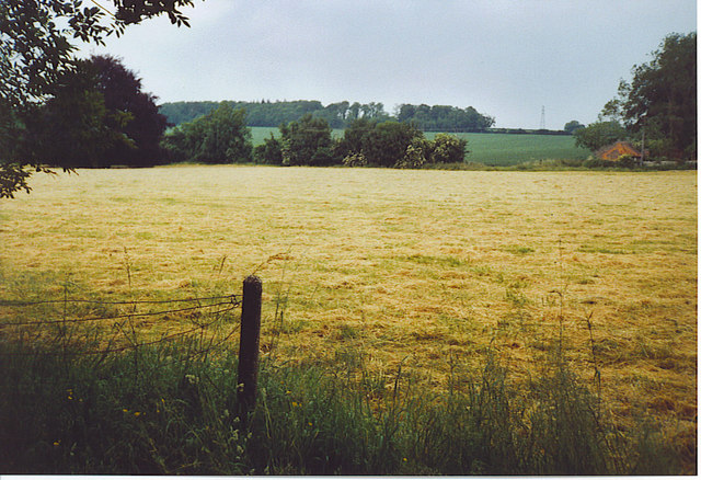 Rolling South Downs countryside of green hills and fields near Sidlesham